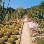 Ботанический сад Пинья-де-Роса в Бланес