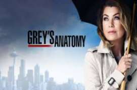 Greys Anatomy s13e04