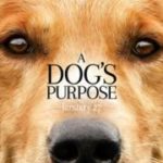 A Dogs Purpose 2017 Online Watch Movie