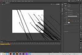 Adobe Animate CC Adobe Flash Professional